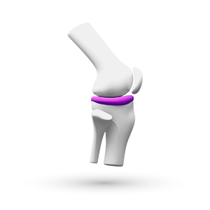 Fiziksel Tıp ve Rehabilitasyon Mesleki Gelişim Videoları